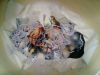 20200516_192442.thumb.jpg.d5ff5e0c92442cdf40cf34fcfe5fc7df.jpg