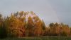 20200530_204320.thumb.jpg.b37c34f4a3a15ccd01dba18bb68657cf.jpg