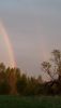 20200530_205458.thumb.jpg.e49f8e0d35bd4c6b210b5e8fdd764c89.jpg