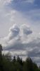 20200531_103829.thumb.jpg.fb24ea7efe94ed28009908eaa8536b92.jpg