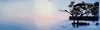 2066739411_2020-04-2915_04_28.thumb.jpg.bd7f373873033a551a4d59901de65ac0.jpg