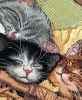 6.thumb.jpg.5ca779bab108da59929457f3a2466f72.jpg