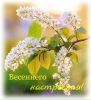 8bpNPF6XiL0.thumb.jpg.0843153a65a881bbfee32065747d7ee4.jpg