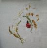 DSC08856.thumb.JPG.d6894262e8dd919a602a278260b13a55.JPG