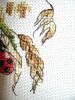 DSC08859.thumb.JPG.e90fa8e36cd39c708083673724ffb1f9.JPG