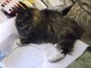 DSCF3818.thumb.JPG.5d3bce6e5526b6fb4c246314aecd620a.JPG