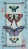 FF6C020A-A8A2-4499-A0AC-8FC5AE29A586.jpeg