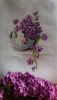 IMG-20200502-WA0000.thumb.jpg.0a484b06485feb0b4552f66c67ce18f5.jpg