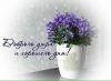 IMG-20200504-WA0013.thumb.jpg.95d5def3525388c25bf555818fe15d9b.jpg