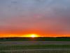 IMG-20200510-WA0023.thumb.jpg.d006d09dac36573f6eb0a38d13c0316d.jpg