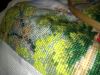 IMG-20200517-WA0015.jpg