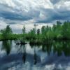 IMG-20200517-WA0019.thumb.jpg.ae69c2333e33d233707d2180d3c3f170.jpg