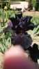IMG-20200518-WA0002.thumb.jpg.82376f67896015ca5c6cdfd2b951d7b1.jpg