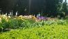 IMG-20200518-WA0006.thumb.jpg.f5ef7a143619714348df1b67e15a3f60.jpg