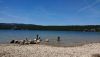IMG-20200526-WA0024.thumb.jpg.ae623df1670cc6ea1c3aae4adf82a95e.jpg