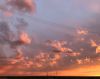 IMG-cae4c434d254024a18c6dfcb212ddba5-V.thumb.jpg.e3ce395c9857dbf83a69cb4e923b37c2.jpg