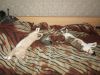 IMG_20191013_134945.thumb.jpg.4f92dbdd251ec7228467bfbf79eeaff5.jpg