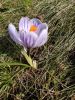 IMG_20200318_142920.thumb.jpg.b252eed129190e693c89cdfbf59f557c.jpg