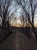 IMG_20200426_193243.thumb.jpg.f0be1485b4678ac2e160e44c09867e5e.jpg