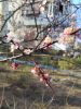 IMG_20200501_171345.thumb.jpg.25600d86157ef269b8be6cfeb3bde767.jpg
