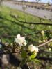 IMG_20200501_171431.thumb.jpg.c3bc3c1df5bb28b52237e9daf9454e24.jpg