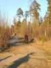 IMG_20200501_191636.thumb.jpg.f15334c17e00700a59afb99a8a04c0d0.jpg