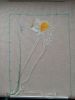IMG_20200502_094924.thumb.jpg.aed7a8c6a1e02c53f47789a9b5a74dca.jpg