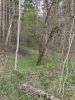 IMG_20200502_173018.thumb.jpg.4692608b526fa01c282515c3b7d59db8.jpg