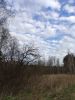 IMG_20200502_173146.thumb.jpg.3d515f5511a73c52b590c84f648c52f1.jpg
