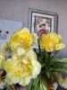 IMG_20200503_135658.thumb.jpg.5e398cf8c16b7920dd17151ac240ae64.jpg