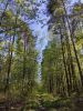IMG_20200511_161128.thumb.jpg.2c750f2a4cdfe983b9efc60aec113fc3.jpg