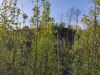IMG_20200511_181924.thumb.jpg.c452acc2a7618ae01eced471600d0c29.jpg