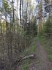 IMG_20200511_182604.thumb.jpg.58cd32822e9b428907d3db02d8159a7b.jpg