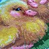 IMG_20200514_152911.jpg