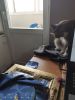 IMG_20200514_153903.thumb.jpg.7b21c2c809f357e299c402876da82549.jpg