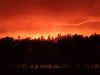 IMG_20200514_203323.thumb.jpg.deeb4a09e3fc01abea439e9c419f7c96.jpg