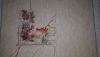 IMG_20200515_060821_375.thumb.jpg.3dc4eb323282bafb0321b823a8ff2404.jpg