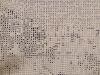 IMG_20200515_153708.thumb.jpg.4646204c49110888b21572ee4ae00ff5.jpg