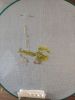 IMG_20200516_182922.thumb.jpg.dcf4dcfd6d39fd4badbd4e4c98864225.jpg