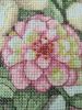 IMG_20200516_205217.thumb.jpg.79b3646a22d66546fe03480f82e83a55.jpg