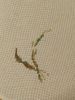 IMG_20200517_164838.thumb.jpg.25bc907efd1472163af45c2a9486b8a6.jpg