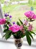 IMG_20200524_150244_compress66.thumb.jpg.5b18f53845f5be199ad8efd5f4039a69.jpg