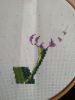 IMG_20200531_151037.thumb.jpg.5812cfab239efa69826c4eeea9c04629.jpg