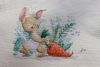 IMG_3825.thumb.JPG.9d0aa71b4f382e28cd1ddf4ff75f863f.JPG