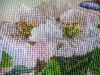 IMG_4835.thumb.JPG.9499d289c36b25edd1fae15a40befe99.JPG