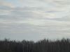 IMG_7016.thumb.JPG.23897a4b3fcd6c86bbeb38b14223567e.JPG