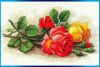 post-4746-1434699222.thumb.jpg.a7e06ee8d7b9c3bf92b88b43b79e4af8.jpg
