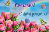 svetlana0014.jpg