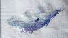 03.thumb.jpg.bcc6cf207cba94fb1d5259f0dd33cfc6.jpg