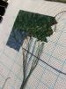 1.thumb.jpeg.764245eeefd0719b9feed5dfae53f173.jpeg